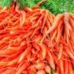 Carrots bunch_1389068-m