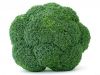Broccoli_1097213