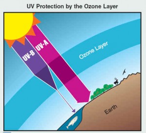 UV radition n Ozone layer