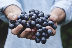 food-healthy-man-w-blueberries_Pexels