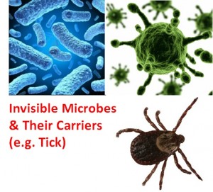 Pathogens_combo